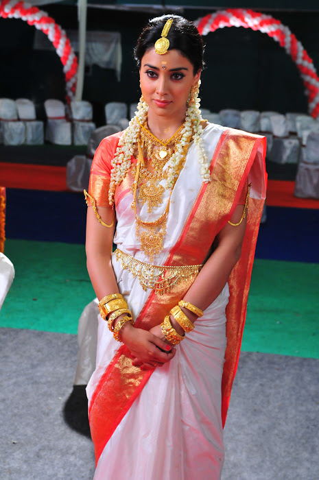 shriya saran traditional saree look hot images